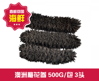 【直发回国】澳洲梅花参500G3头装 【直发回国】澳洲梅花参500G3头装